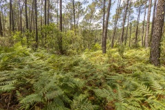 Sintra-Cascais Natural Park